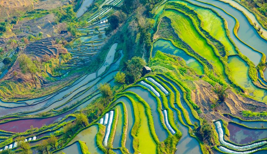 宝妈必备神器：玉林产品视频拍摄轻松育儿好帮手